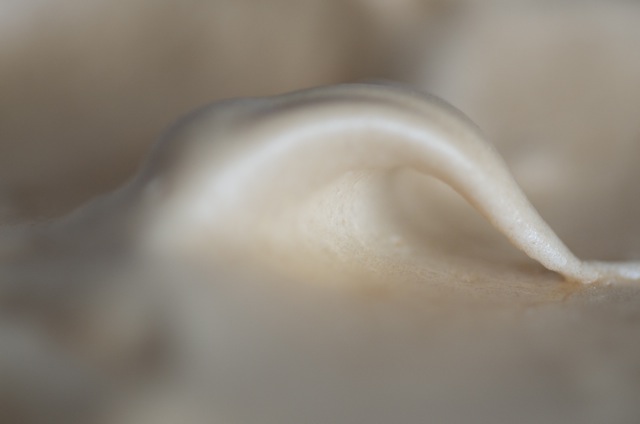 a curl of meringue on a pavlova